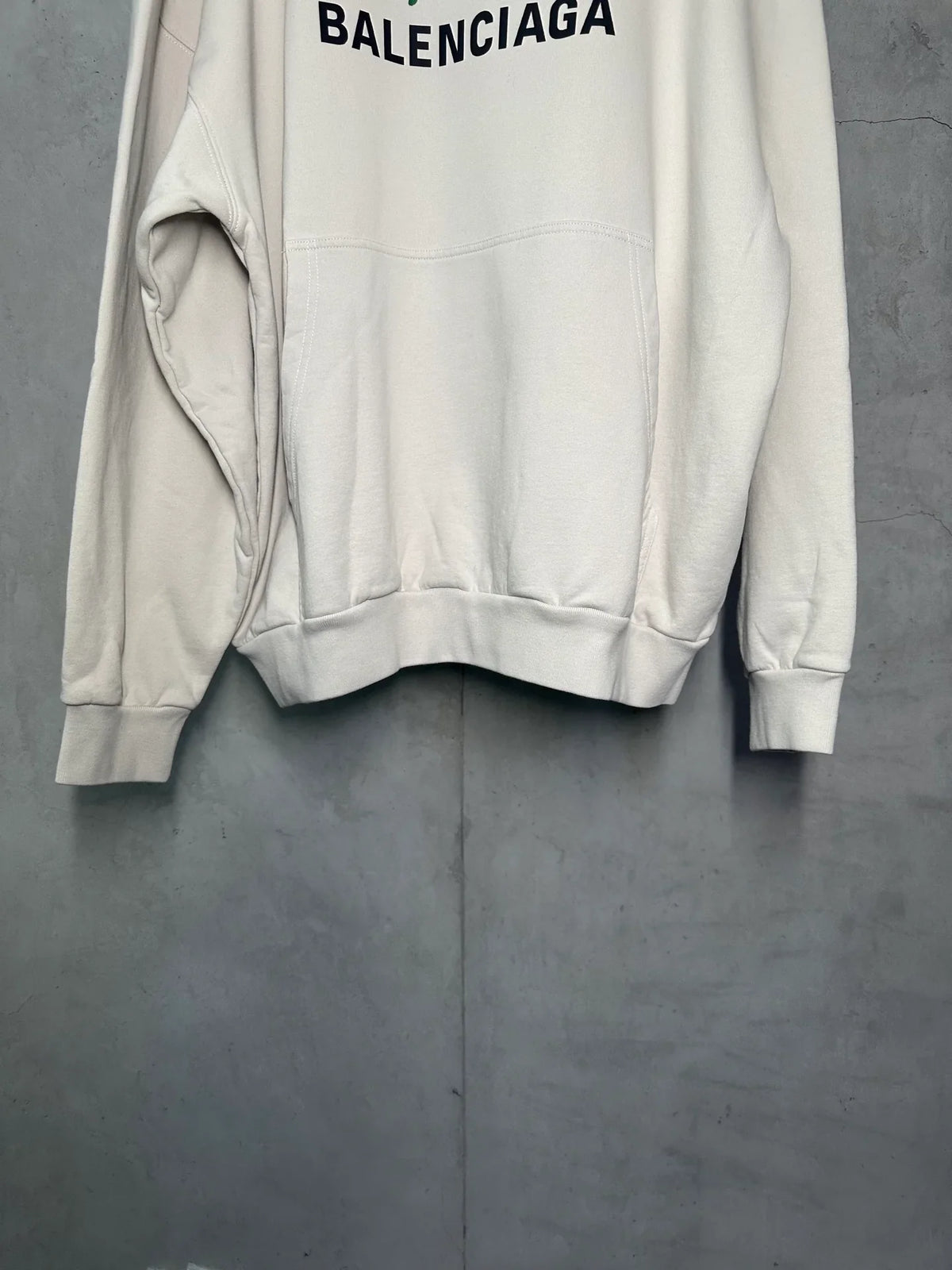 Printed hooded sweatshirt