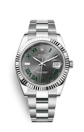 Grey Silver - 904L Steel - Automatic - 41mm